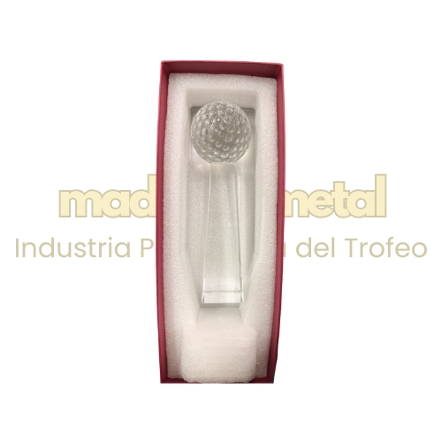 Imagen de Reconocimiento en cristal - M20.I161/18.5